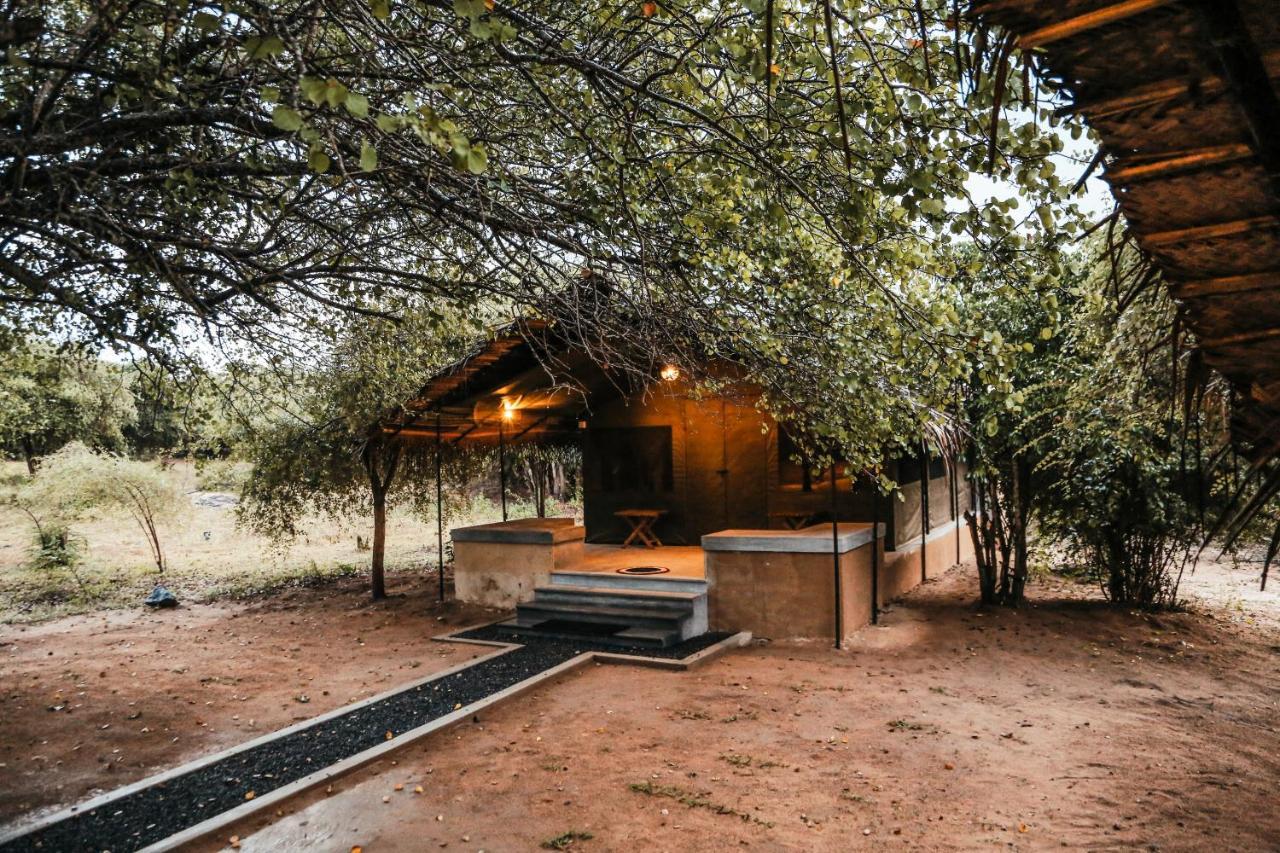 Hotel Yala Wild Hut - Yala à Tissamaharama Extérieur photo