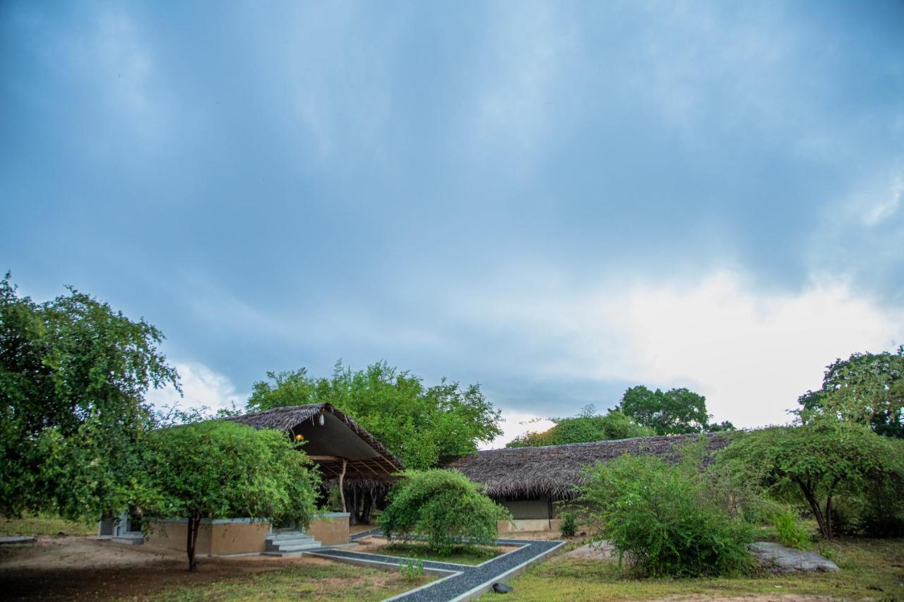 Hotel Yala Wild Hut - Yala à Tissamaharama Extérieur photo