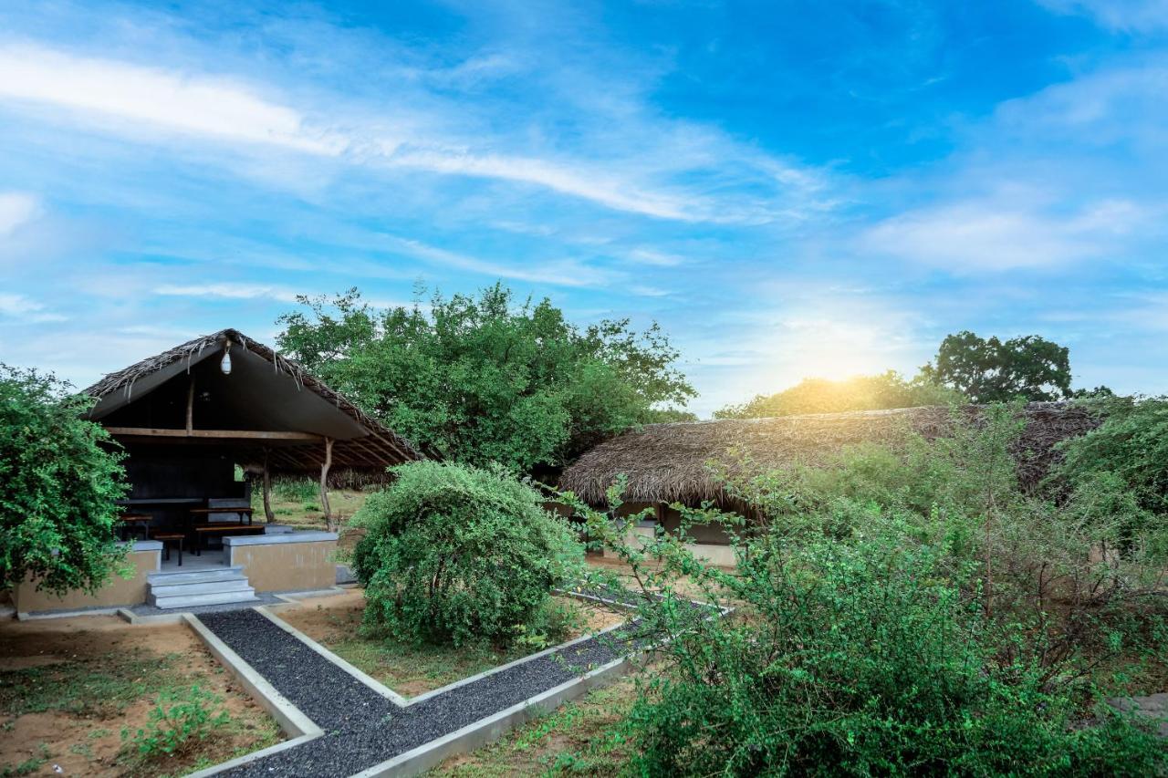 Hotel Yala Wild Hut - Yala à Tissamaharama Extérieur photo