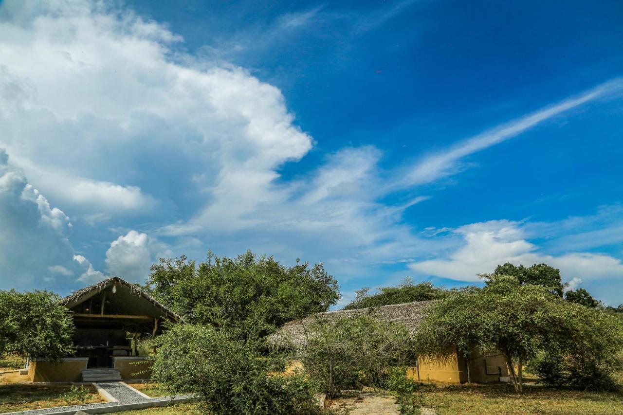 Hotel Yala Wild Hut - Yala à Tissamaharama Extérieur photo